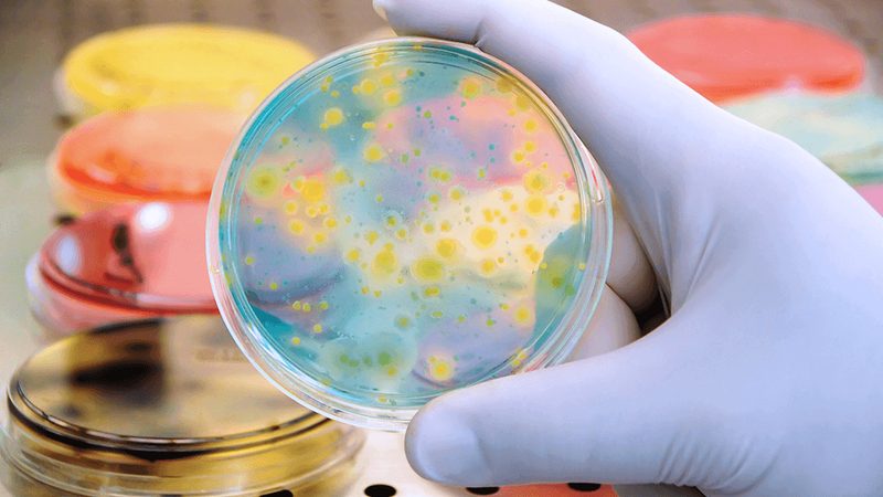 生物制品OEM代工：揭秘其背后的价值与选择**