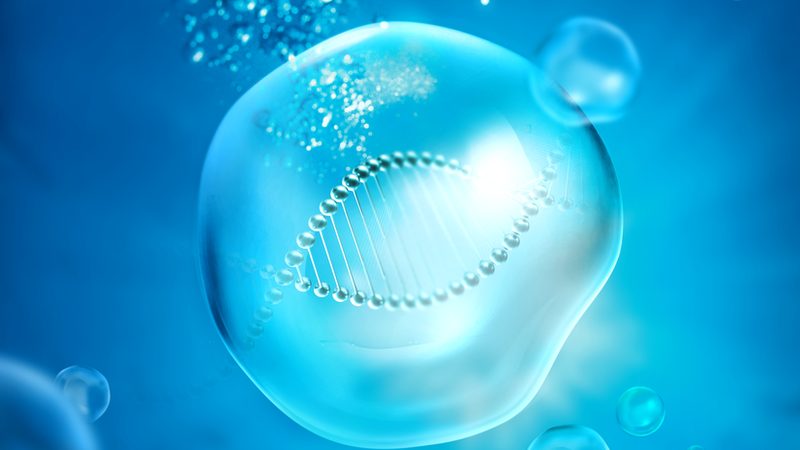 CRo与A/B测试：揭秘两者在生物科技研究中的不同应用