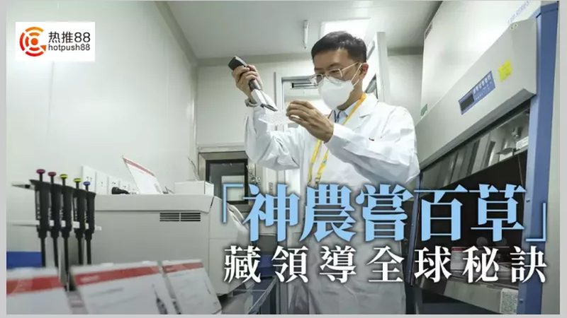 抗体纯化定制服务：揭秘医药研发的关键环节