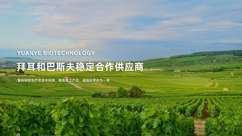 单基因病测序与全外显子组测序：优缺点对比解析**