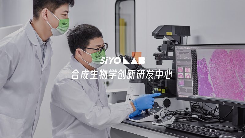 离心管规格解析：从0.5ml到50ml型号的奥秘**