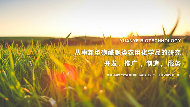 医药研发报价：揭秘生物科技公司背后的成本考量**
