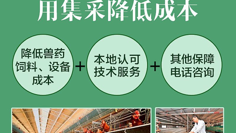 生物科技公司内控标准：构建合规与安全的基石