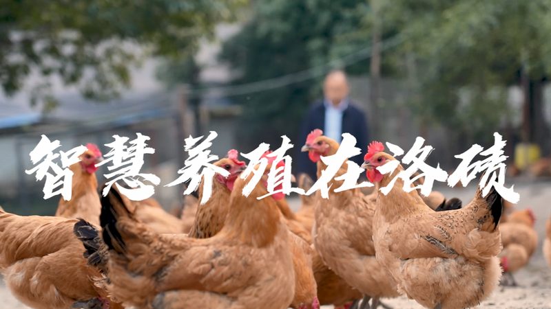移液器校准证书，研发过程中的关键一环**