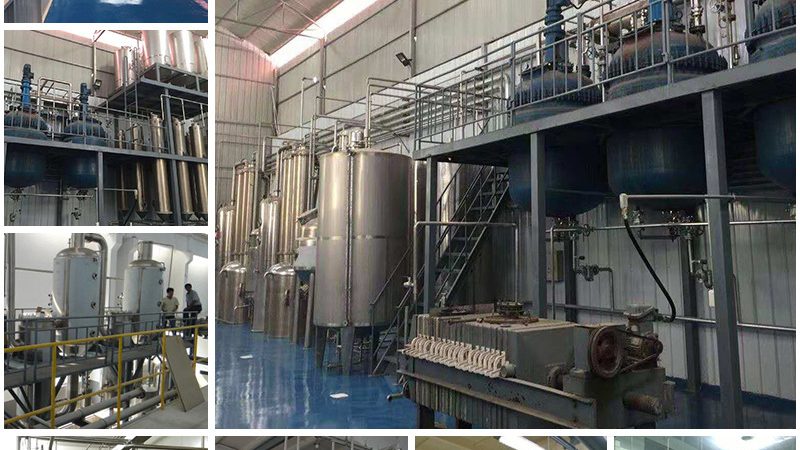 复合酶定制加工：技术对比与选择要点**